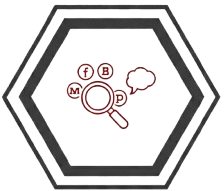 Estrategia de Gestión